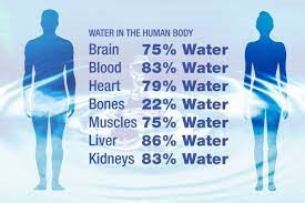 مقدار آب بدن